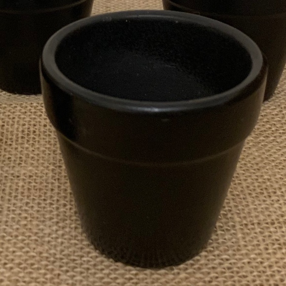 10 Black "Flower Pot" Party Favors - Picture 4 of 12